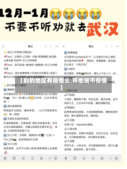 【别的地区有疫情么,其他城市疫情】-第3张图片