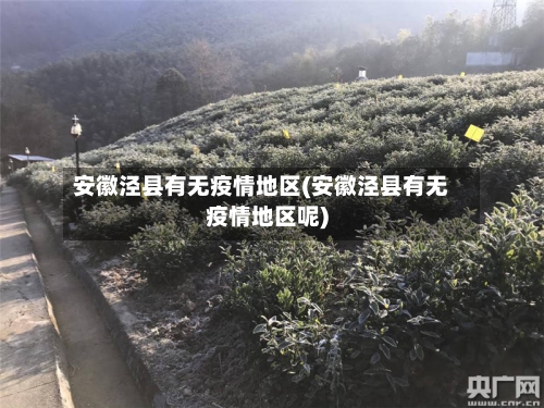 安徽泾县有无疫情地区(安徽泾县有无疫情地区呢)