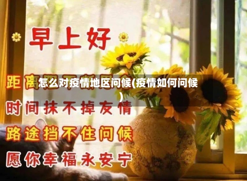 怎么对疫情地区问候(疫情如何问候)-第2张图片