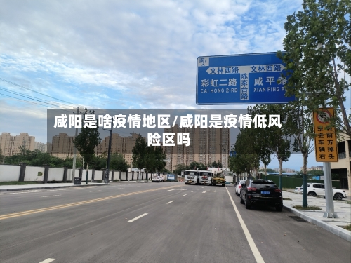 咸阳是啥疫情地区/咸阳是疫情低风险区吗