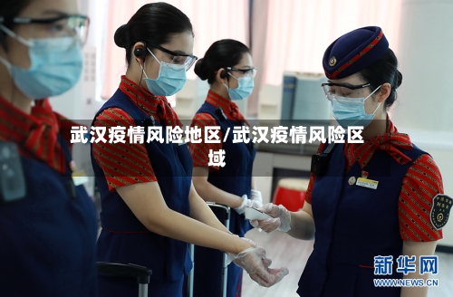 武汉疫情风险地区/武汉疫情风险区域