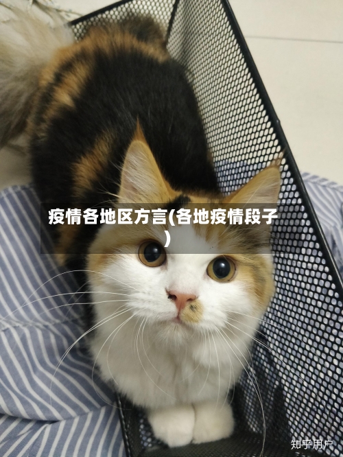 疫情各地区方言(各地疫情段子)-第2张图片