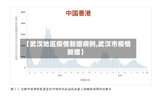 【武汉地区疫情新增病例,武汉市疫情新增】