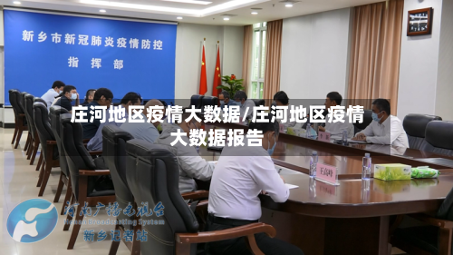 庄河地区疫情大数据/庄河地区疫情大数据报告