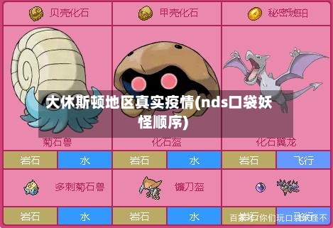 大休斯顿地区真实疫情(nds口袋妖怪顺序)