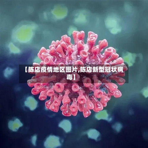 【陈店疫情地区图片,陈店新型冠状病毒】-第3张图片