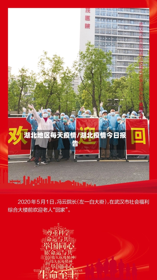 湖北地区每天疫情/湖北疫情今日报告