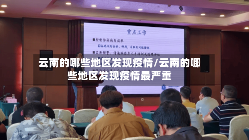 云南的哪些地区发现疫情/云南的哪些地区发现疫情最严重-第3张图片
