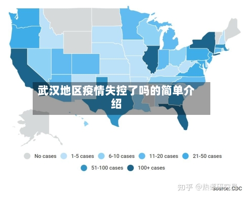 武汉地区疫情失控了吗的简单介绍-第2张图片