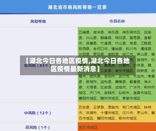 【湖北今日各地区疫情,湖北今日各地区疫情最新消息】