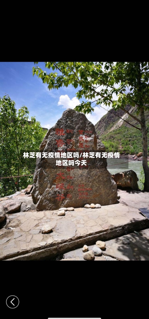 林芝有无疫情地区吗/林芝有无疫情地区吗今天-第2张图片
