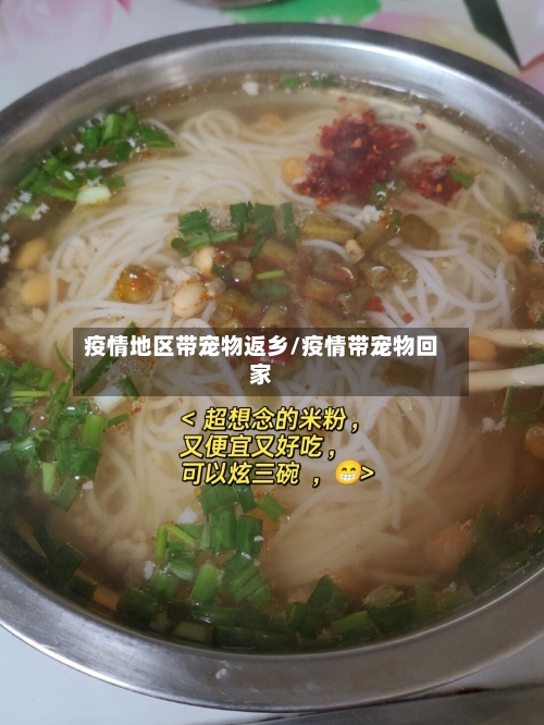 疫情地区带宠物返乡/疫情带宠物回家-第2张图片