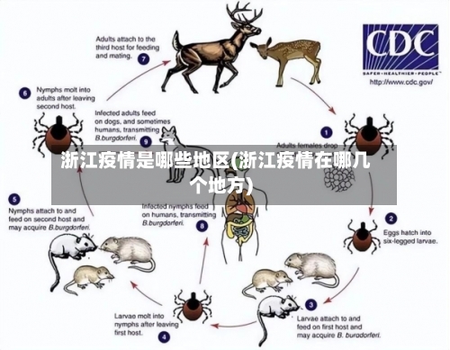 浙江疫情是哪些地区(浙江疫情在哪几个地方)-第2张图片