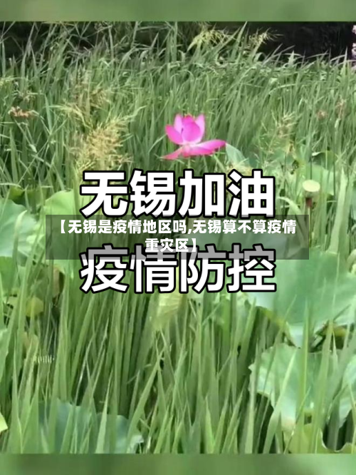 【无锡是疫情地区吗,无锡算不算疫情重灾区】-第2张图片