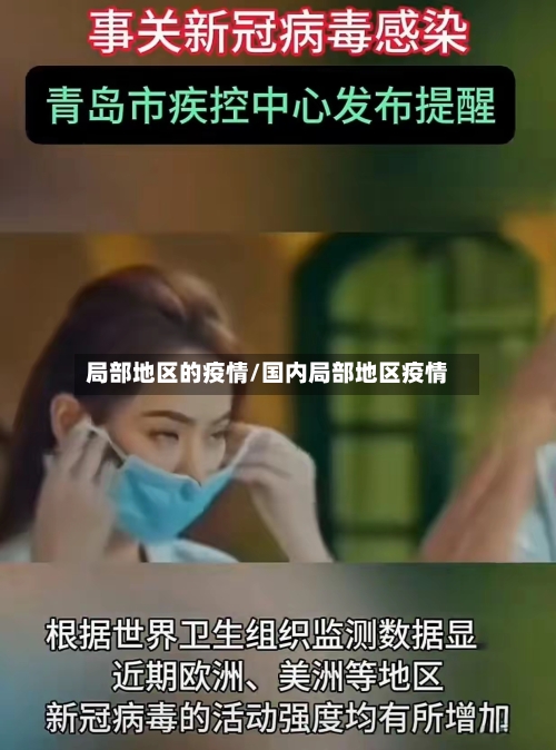 局部地区的疫情/国内局部地区疫情