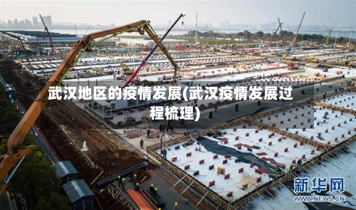 武汉地区的疫情发展(武汉疫情发展过程梳理)