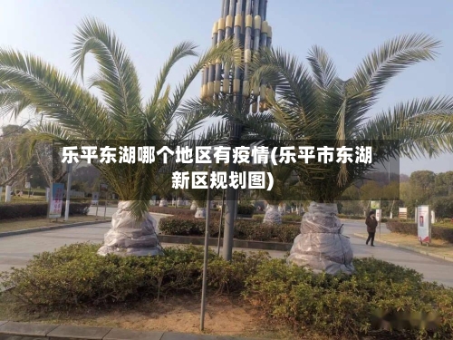乐平东湖哪个地区有疫情(乐平市东湖新区规划图)