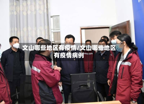 文山哪些地区有疫情/文山哪些地区有疫情病例