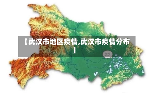 【武汉市地区疫情,武汉市疫情分布】