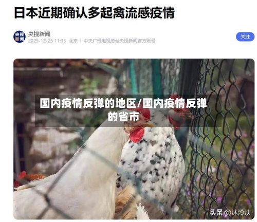 国内疫情反弹的地区/国内疫情反弹的省市