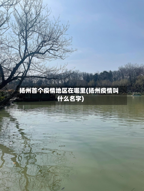 扬州首个疫情地区在哪里(扬州疫情叫什么名字)-第2张图片