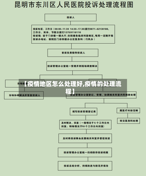 【疫情地区怎么处理好,疫情的处理流程】