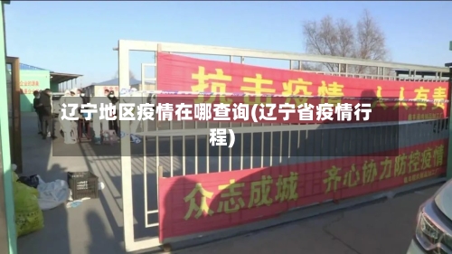 辽宁地区疫情在哪查询(辽宁省疫情行程)-第2张图片