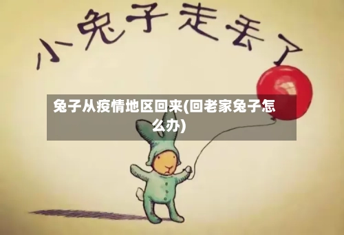 兔子从疫情地区回来(回老家兔子怎么办)