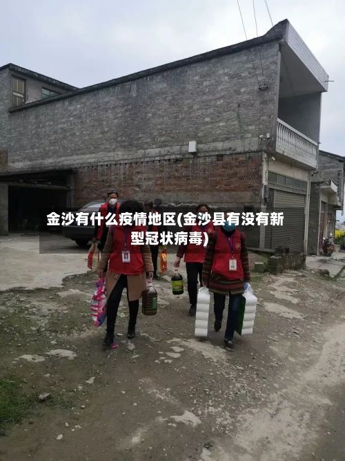 金沙有什么疫情地区(金沙县有没有新型冠状病毒)