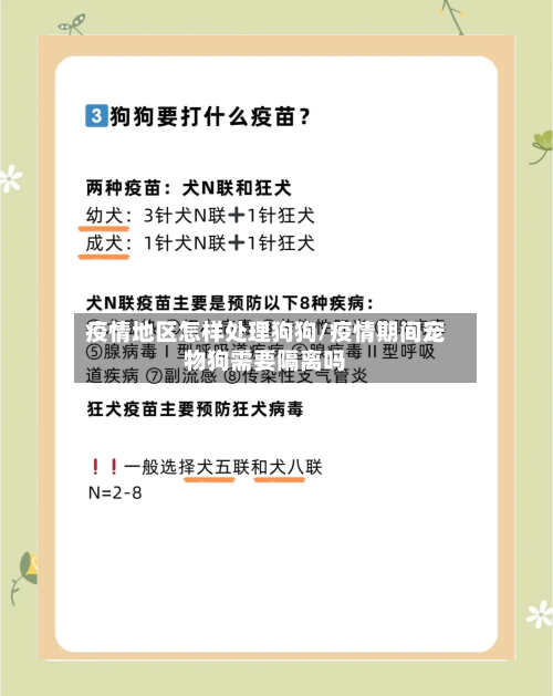 疫情地区怎样处理狗狗/疫情期间宠物狗需要隔离吗