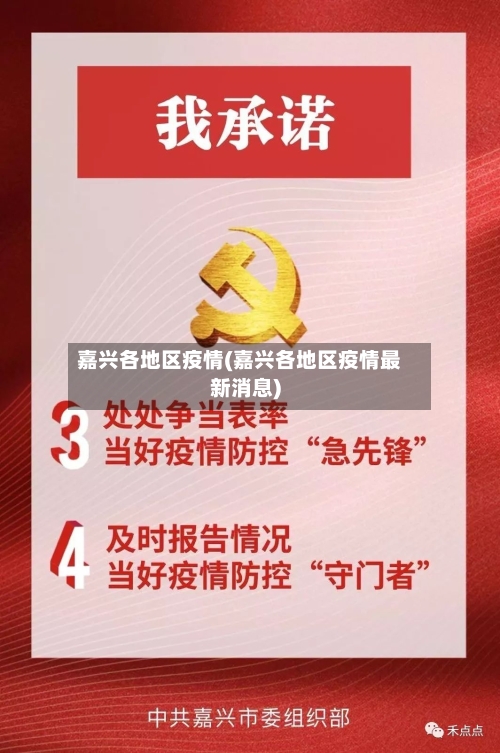 嘉兴各地区疫情(嘉兴各地区疫情最新消息)-第3张图片