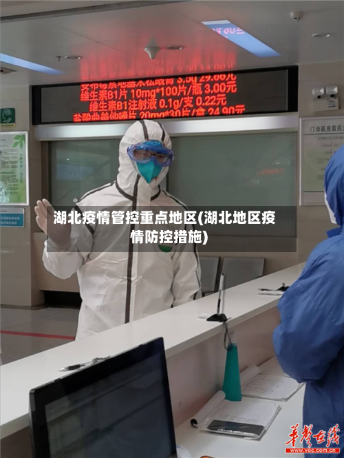 湖北疫情管控重点地区(湖北地区疫情防控措施)-第3张图片