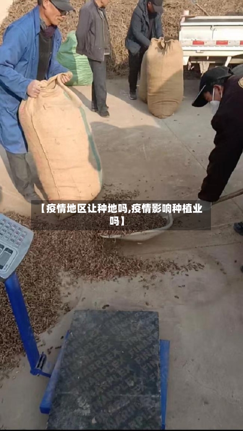 【疫情地区让种地吗,疫情影响种植业吗】