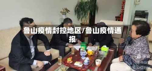 鲁山疫情封控地区/鲁山疫情通报-第2张图片