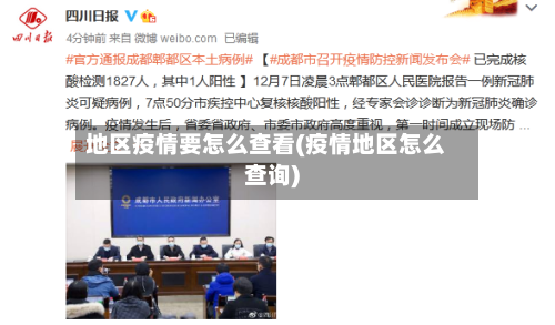 地区疫情要怎么查看(疫情地区怎么查询)