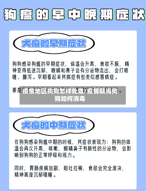 疫情地区狗狗怎样处理/疫情期间狗狗如何消毒