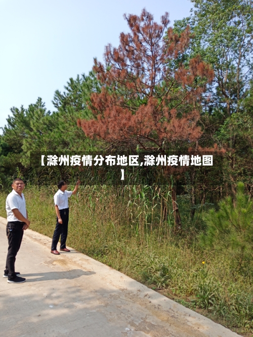 【滁州疫情分布地区,滁州疫情地图】-第2张图片