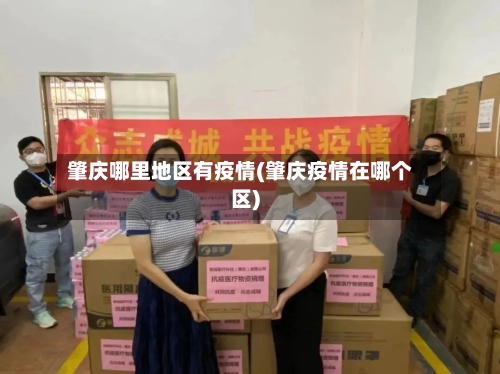 肇庆哪里地区有疫情(肇庆疫情在哪个区)