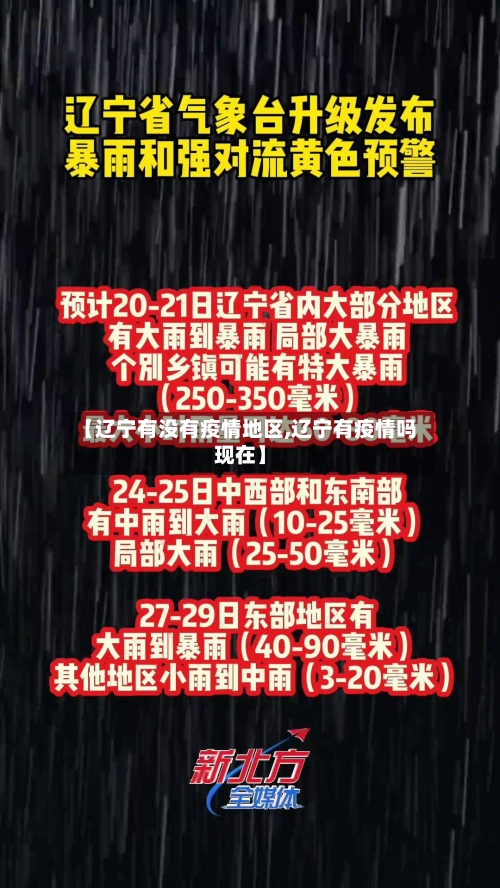 【辽宁有没有疫情地区,辽宁有疫情吗现在】-第2张图片