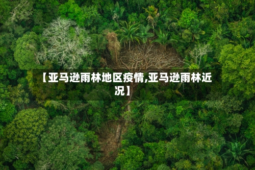 【亚马逊雨林地区疫情,亚马逊雨林近况】-第3张图片