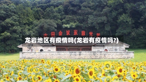 龙岩地区有疫情吗(龙岩有疫情吗?)-第2张图片