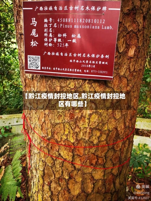 【黔江疫情封控地区,黔江疫情封控地区有哪些】-第2张图片