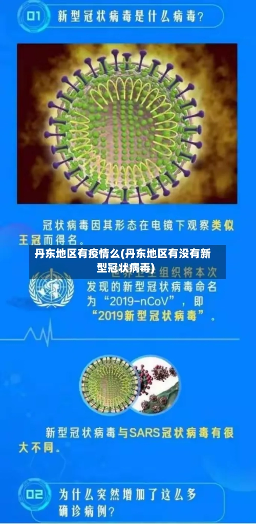丹东地区有疫情么(丹东地区有没有新型冠状病毒)