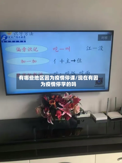 有哪些地区因为疫情停课/现在有因为疫情停学的吗