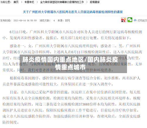 肺炎疫情国内重点地区/国内肺炎疫情重点城市-第3张图片