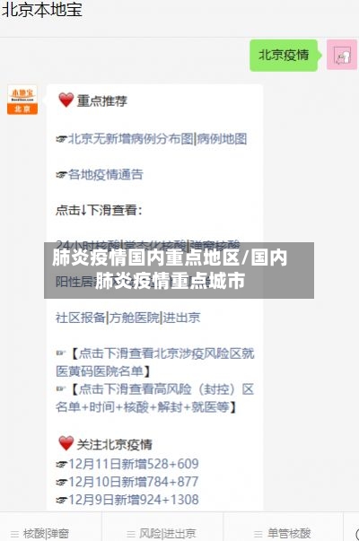 肺炎疫情国内重点地区/国内肺炎疫情重点城市