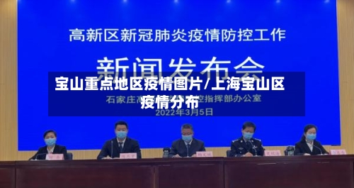 宝山重点地区疫情图片/上海宝山区疫情分布