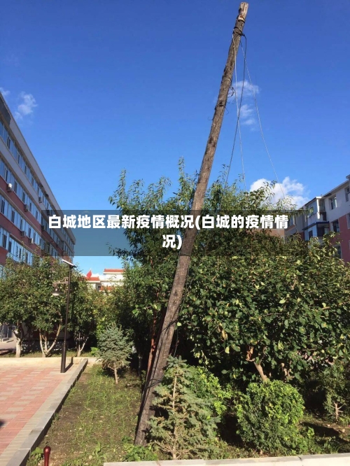 白城地区最新疫情概况(白城的疫情情况)-第2张图片