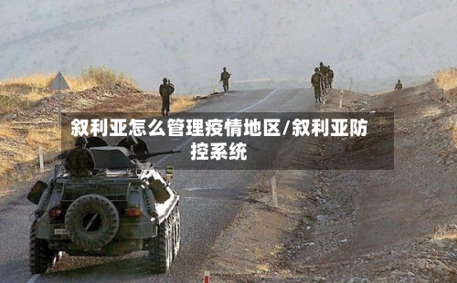 叙利亚怎么管理疫情地区/叙利亚防控系统-第3张图片