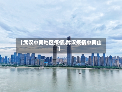【武汉中南地区疫情,武汉疫情中南山】-第3张图片